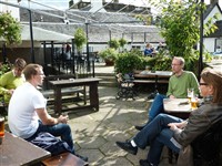 Pausar med en &ouml;l